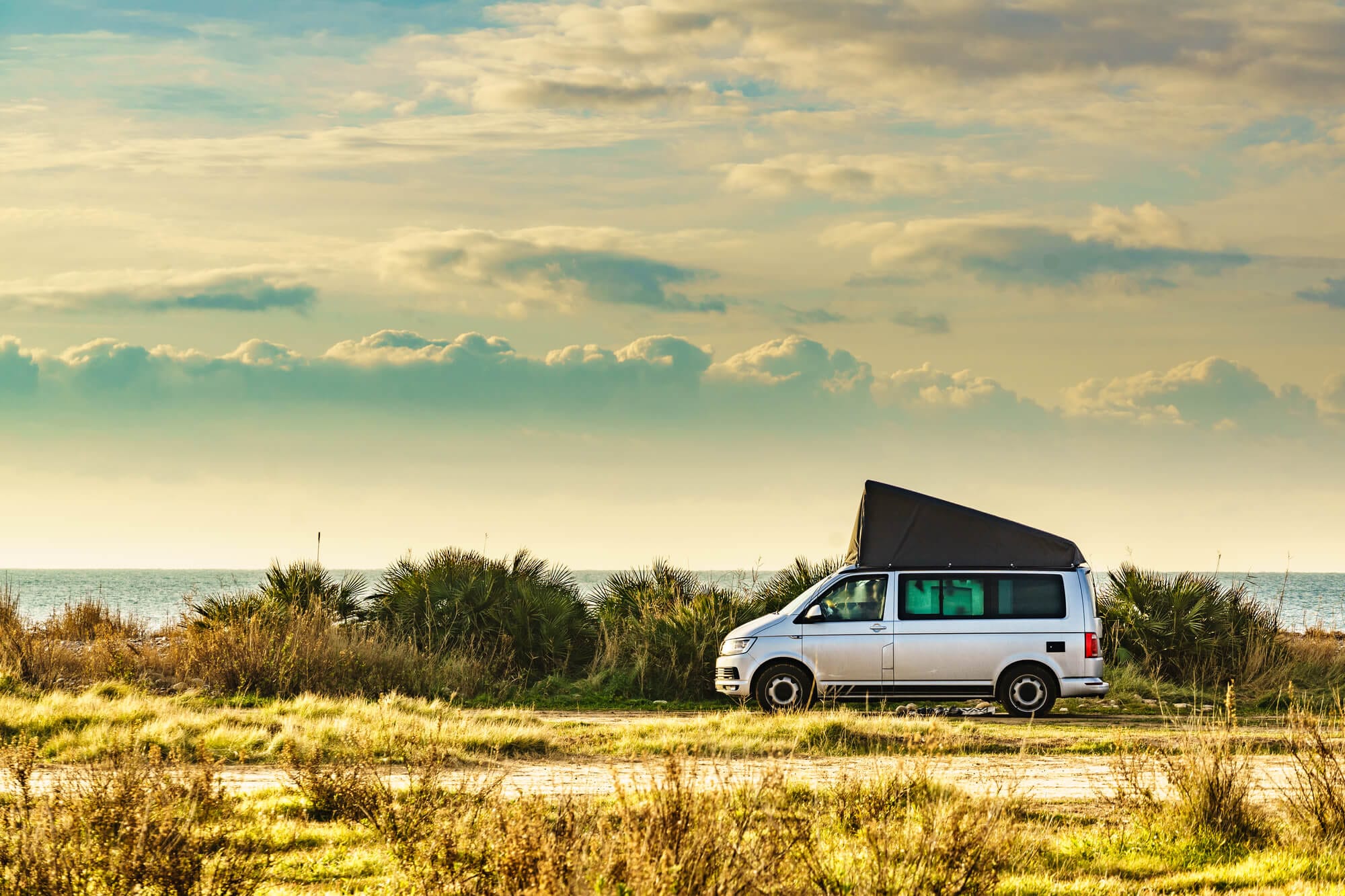 VW parked outside by nature with pop top